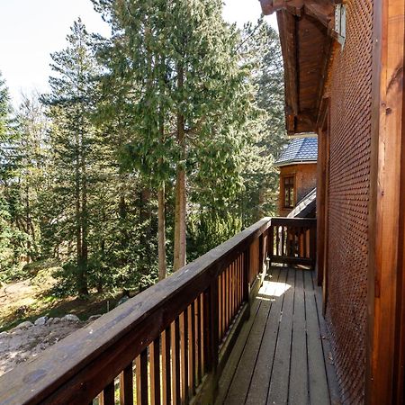 Apartamenty Silva Шклярска-Поремба Экстерьер фото